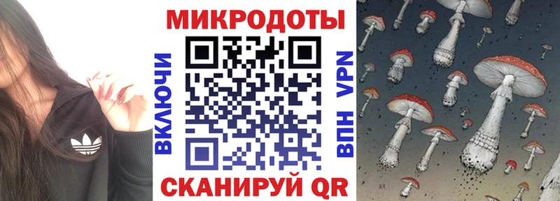 купить  цена  Нововоронеж  Галлюциногенные грибы MAGIC MUSHROOMS 